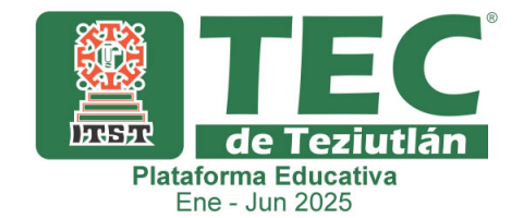 Plataforma Enero - Junio 2025